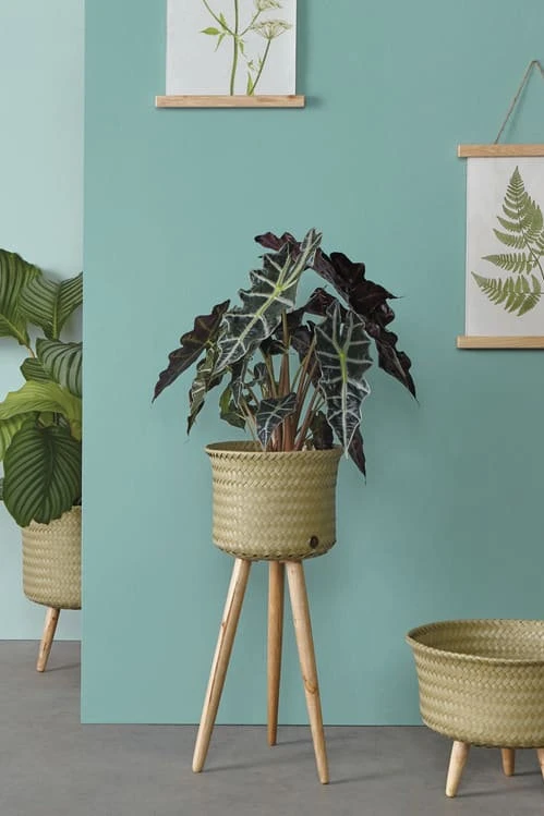 Cache-pot Up Low - Handed By 7 Cache-pot Up Low - Handed By – Image 7