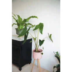 Cache-pot Up Mid - Handed By -Décorer Les Cadeaux 4593fe 17e8f2cc67144990a48d365e3c98e215mv2