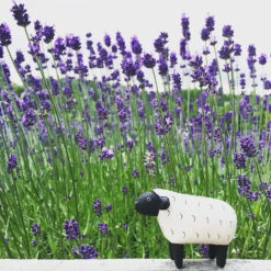 Pole Pole Mouton En Bois - T Lab -Décorer Les Cadeaux 4593fe 256befa0470a484da1ee239817521c30mv2