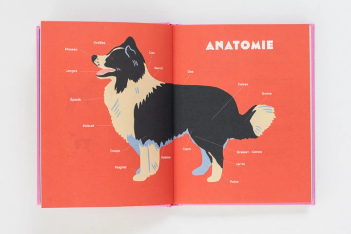 Chiens - Marcel Et Joachim 4 Chiens - Marcel Et Joachim – Image 4