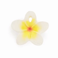 Hawaii La Fleur à Machouiller- Oli & Carol