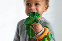 Kendall Le Chou Frisé De Dentition - Oli & Carol -Décorer Les Cadeaux 4593fe 45fa4c93b84e4c57ab12afda7a841839mv2