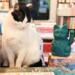 Lucky Cat Porte Bonheur Maneki - Donkey -Décorer Les Cadeaux 4593fe 470e8ffd376c445d8d6a3a8155b81245mv2