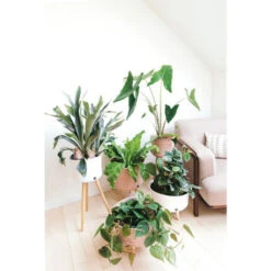 Cache-pot Up Mid - Handed By -Décorer Les Cadeaux 4593fe 5a3988f97c644979a3159c6a4e87d781mv2