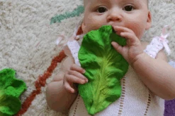 Kendall Le Chou Frisé De Dentition - Oli & Carol -Décorer Les Cadeaux 4593fe 80fe59061e9944f98cb00fbe74aa3e92mv2