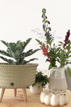 Cache-pot Up Low - Handed By 10 Cache-pot Up Low - Handed By -Décorer Les Cadeaux 4593fe 88da14f2dec04ce7b07b4cbe718b4594mv2 1