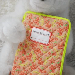 Carnet De Santé - Melon Petit Pan