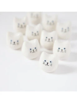 Mini Chat - Dodo Toucan