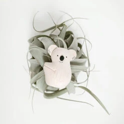 Pole Pole Koala En Bois - T Lab -Décorer Les Cadeaux 4593fe cec1ac38c4224649b056854f3e82488emv2