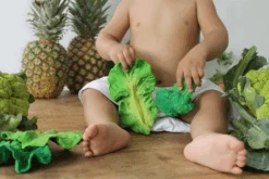 Kendall Le Chou Frisé De Dentition - Oli & Carol -Décorer Les Cadeaux 4593fe d4a40895e5b64178a5ac91aebc43db5bmv2