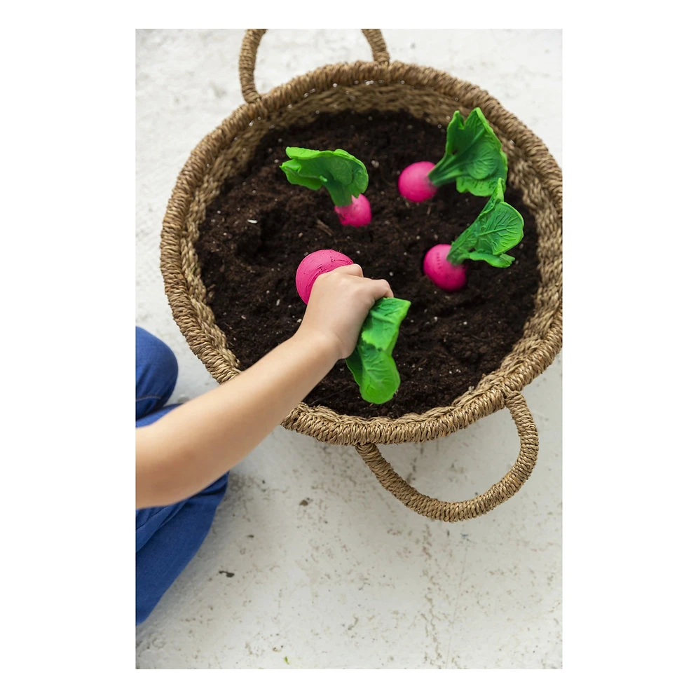 Ramona Le Radis à Mâchouiller - Oli & Carol 7 Ramona Le Radis à Mâchouiller - Oli & Carol – Image 7