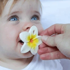 Hawaii La Fleur à Machouiller- Oli & Carol -Décorer Les Cadeaux 4593fe ed15ac32d7654d18888dc8c2181ff561mv2