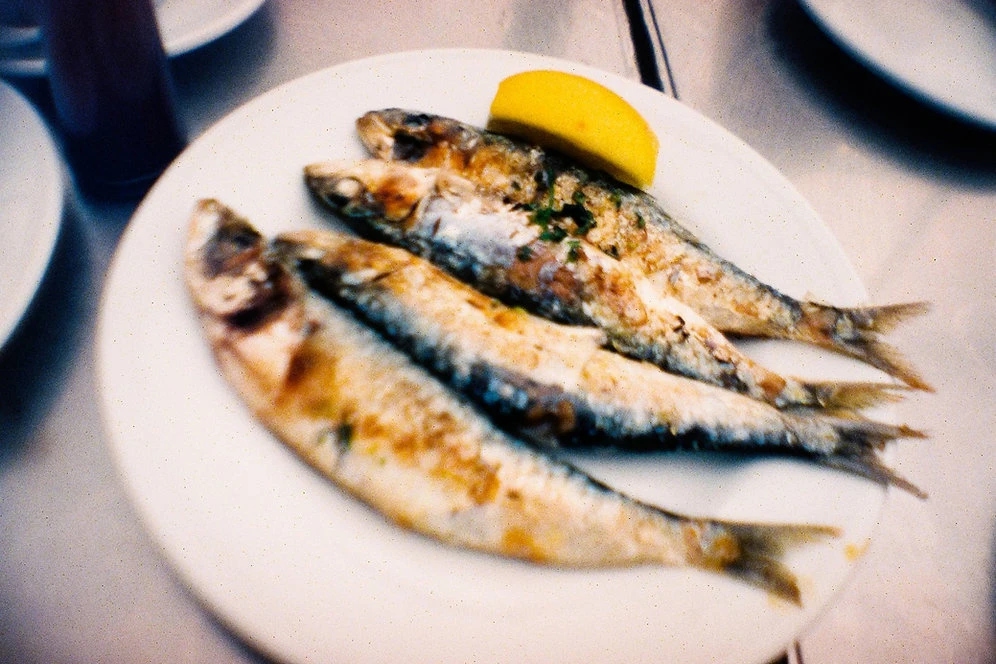 Appareil Photo Argentique - La Sardina 3 Appareil Photo Argentique - La Sardina – Image 3